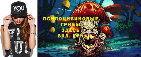 a pvp Алексин