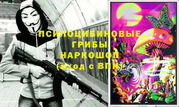 гидропоника Алзамай