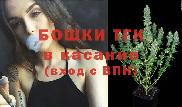 гидропоника Алзамай