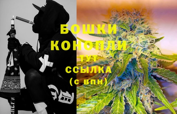 гидропоника Алзамай