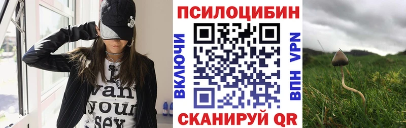 Псилоцибиновые грибы Psilocybe  МЕГА ссылки  Находка 